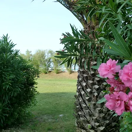 Marche - Residenza Ecologica